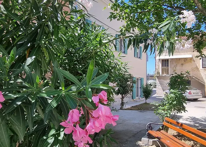 Dea Del Mar イゾラ